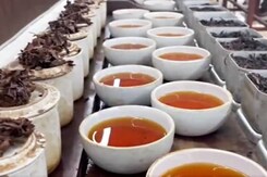 कोलकाता का निलहत हाउस चाय के लिए क्यों है खास, यहां जानिए कोलकाता का निलहत हाउस चाय के लिए क्यों है खास, यहां जानिए