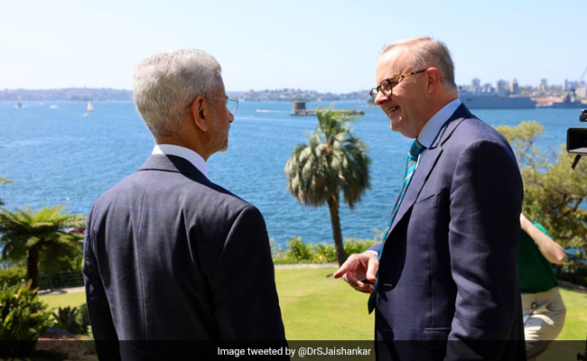 "Of Course, Discussed Cricket": S Jaishankar On Talks With Australia PM In Sydney
