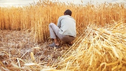 8 Maharashtra Farmers Ended Lives Daily?; Minister Says "Partially True"
