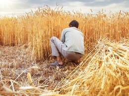 8 Maharashtra Farmers Ended Lives Daily?; Minister Says "Partially True" 8 Maharashtra Farmers Ended Lives Daily?; Minister Says "Partially True"