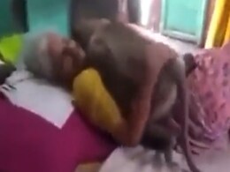 लंगूर को रोज़ रोटी देती थी दादी मां, तबीयत ख़राब होने पर लंगूर देखने आया, वीडियो भावुक कर देगा लंगूर को रोज़ रोटी देती थी दादी मां, तबीयत ख़राब होने पर लंगूर देखने आया, वीडियो भावुक कर देगा