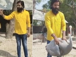 "सारस-आरिफ का प्रेम निश्छल है.. उन्हें मिला दीजिए": अखिलेश के बाद वरुण गांधी ने किया समर्थन "सारस-आरिफ का प्रेम निश्छल है.. उन्हें मिला दीजिए": अखिलेश के बाद वरुण गांधी ने किया समर्थन