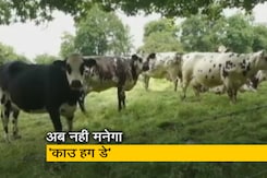 'काउ हग डे' के रूप में मनाएं जाने की अपील ली गई वापस 'काउ हग डे' के रूप में मनाएं जाने की अपील ली गई वापस