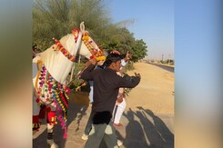 Kiara-Sidharth Married - From The Literal Horse's Mouth (Almost) Kiara-Sidharth Married - From The Literal Horse's Mouth (Almost)