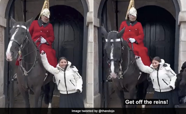Video: King's Guard Shouts "Get Off" At Tourist Who Touched His Horse
