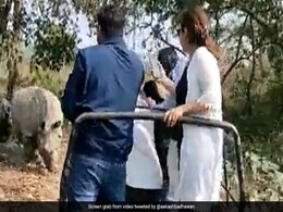 Chilling Video Shows Rhinos Chasing Tourists On Wildlife Safari, Jeep Falls Into Pit Chilling Video Shows Rhinos Chasing Tourists On Wildlife Safari, Jeep Falls Into Pit