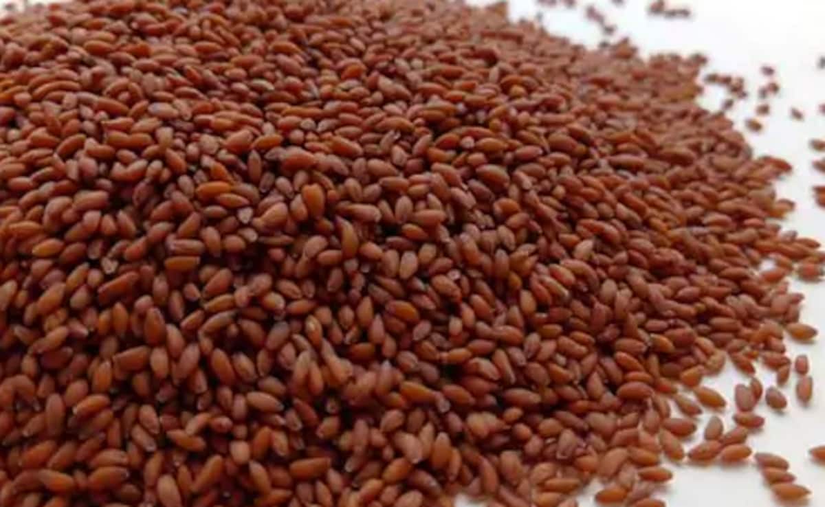 From Immunity To Digestion: Nutritionist Shares Health Benefits Of Halim Seeds