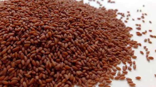 From Immunity To Digestion: Nutritionist Shares Health Benefits Of Halim Seeds