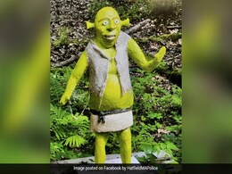 200-Pound Shrek Statue Goes Missing In US City, Police Launch Investigation 200-Pound Shrek Statue Goes Missing In US City, Police Launch Investigation