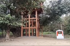 Stay Atop Tree Houses In The Land Of Tigers Stay Atop Tree Houses In The Land Of Tigers
