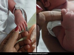 Kerala Trans Couple Have Baby, A First In India, Keep Gender Secret Kerala Trans Couple Have Baby, A First In India, Keep Gender Secret