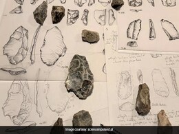 Ancient Human Signs Discovered In A European Cave Dating Back 500,000 Years Ancient Human Signs Discovered In A European Cave Dating Back 500,000 Years