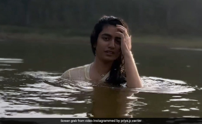 प्रिया प्रकाश वारियर हसीन नजारों के बीच नदी में तैरती आईं नजर, वीडियो शेयर कर बोलीं- जलपरी