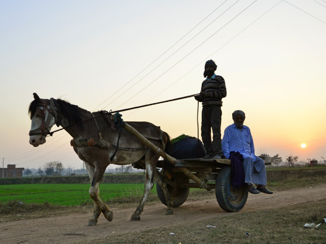 अर्थशास्त्री प्रो. हिमांशु ने कहा, "बजट में किसानों की हुई अनदेखी"