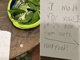 COVID-19 Infected Mother Gets "Perfect Salad" And A Sweet Note From Her Son
