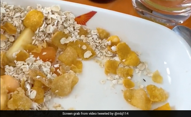 OMG! एयर इंडिया के बिजनेस क्लास में यात्रा कर रहे यात्री के खाने में निकला कीड़ा, एयरलाइंस ने दिया ये जवाब