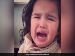 Viral Video: बच्ची का रो-रोकर हुआ बुरा हाल, फिर जो हुआ वो देखकर आप भी कहेंगे 'How Cute',फूडी जरूर देखें... Viral Video: बच्ची का रो-रोकर हुआ बुरा हाल, फिर जो हुआ वो देखकर आप भी कहेंगे 'How Cute',फूडी जरूर देखें...