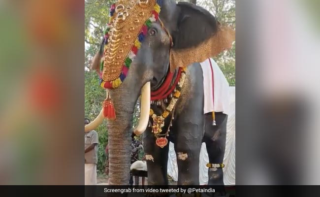 Watch: Kerala Temple Deploys Life-Size 'Mechanical Elephant' For Performing Rituals