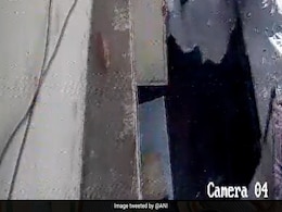 Video: Road In South Delhi Caves In, Dog And 2 Motorbikes Fall Into Sinkhole Video: Road In South Delhi Caves In, Dog And 2 Motorbikes Fall Into Sinkhole