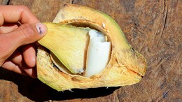 5 Healthy Ways To Include Coconut Meat In Your Diet