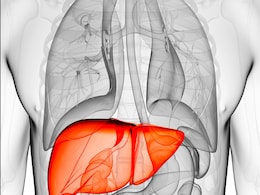 Liver Cirrhosis: लिवर की इस बीमारी में पीलिया, थकान और कमजोरी के साथ होती है ये परेशानी, 5 वार्निंग साइन को कभी न करें इग्नोर Liver Cirrhosis: लिवर की इस बीमारी में पीलिया, थकान और कमजोरी के साथ होती है ये परेशानी, 5 वार्निंग साइन को कभी न करें इग्नोर