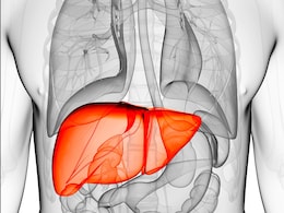 World Liver Day 2025: लिवर को खराब कर देती हैं ये 6 चीजें, जानिए Healthy Liver के लिए क्या खाएं और क्या नहीं  World Liver Day 2025: लिवर को खराब कर देती हैं ये 6 चीजें, जानिए Healthy Liver के लिए क्या खाएं और क्या नहीं