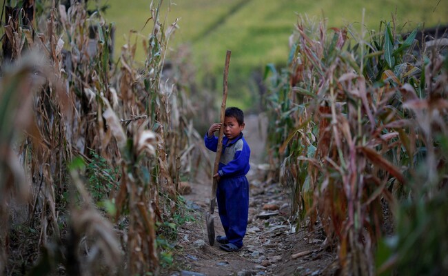 Foreign Aid Is "Poisoned Candy": North Korea Paper Calls For Self-Reliance