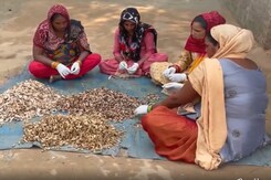 Start-Up Recycles Cigarette Butts Start-Up Recycles Cigarette Butts