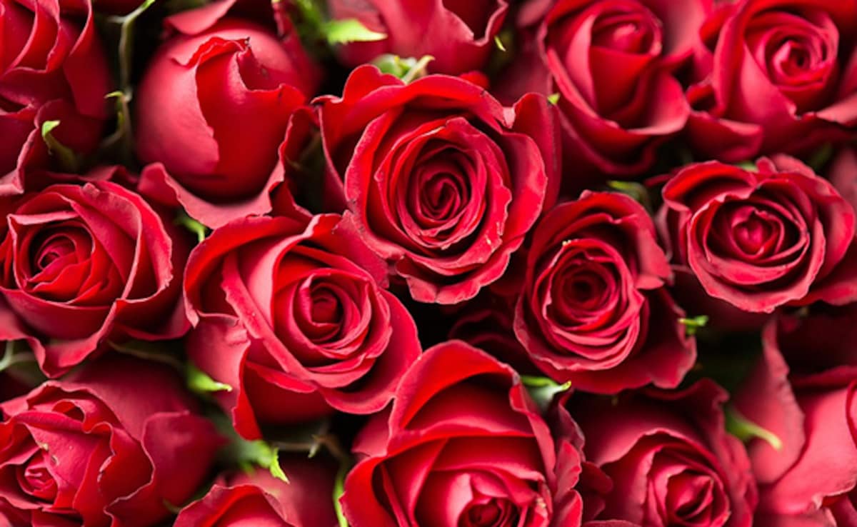 The Art of Baking: From Classic Bread to Artisan Pastries