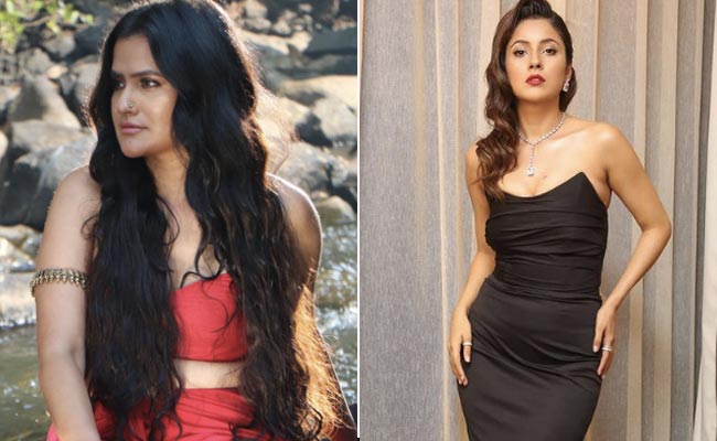 Singer Sona Mohapatra Blew Twitter Up By Asking "What's Shehnaaz Gill's Talent?"