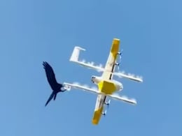 कॉफी डिलीवरी करने आए ड्रोन को ले उड़ा कौआ! VIDEO देख नहीं होगा खुद की ही आंखों पर यकीन कॉफी डिलीवरी करने आए ड्रोन को ले उड़ा कौआ! VIDEO देख नहीं होगा खुद की ही आंखों पर यकीन