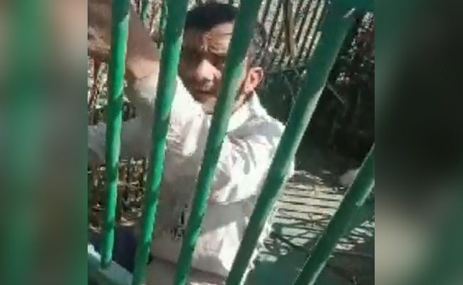 Video: UP Man Stuck In Cage Meant For Leopard. He Fell For The Bait