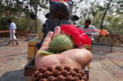 क्या आप जानते है शिवजी को सबसे पहले किसने अर्पित किया था बेल पत्र! क्या आप जानते है शिवजी को सबसे पहले किसने अर्पित किया था बेल पत्र!