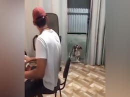 Viral Video: मालिक की धुन पर इस तरह दुम हिलाता नजर आया डॉगी, जैसे समझ में आ रही हो एक-एक बीट Viral Video: मालिक की धुन पर इस तरह दुम हिलाता नजर आया डॉगी, जैसे समझ में आ रही हो एक-एक बीट