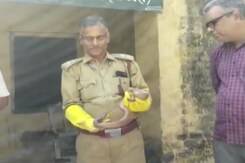 Endangered 'Sand Boa' Snake Rescued In Jharkhand Endangered 'Sand Boa' Snake Rescued In Jharkhand