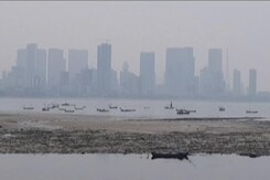 How Pollution Is Driving Antibiotic Resistance Up How Pollution Is Driving Antibiotic Resistance Up
