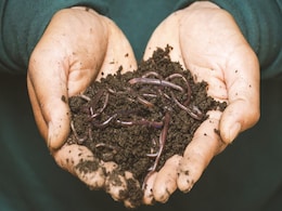 ''Ate Worms, Drank Urine'': Man Shares How He Survived In Amazon Forest For 31 Days ''Ate Worms, Drank Urine'': Man Shares How He Survived In Amazon Forest For 31 Days