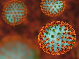 बढ़ रहे हैं Covid-19 और Influenza Virus H3N2 के मामले, वायरस से बचाव के लिए डाइट में शामिल करें ये चीजें बढ़ रहे हैं Covid-19 और Influenza Virus H3N2 के मामले, वायरस से बचाव के लिए डाइट में शामिल करें ये चीजें