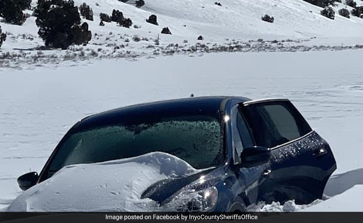 81-Year-Old US Man Survives A Week In Snowbank By Eating Croissant, Candies