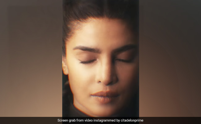 <i>Citadel</i> New Poster: Meet Priyanka Chopra As Agent Nadia Sinh