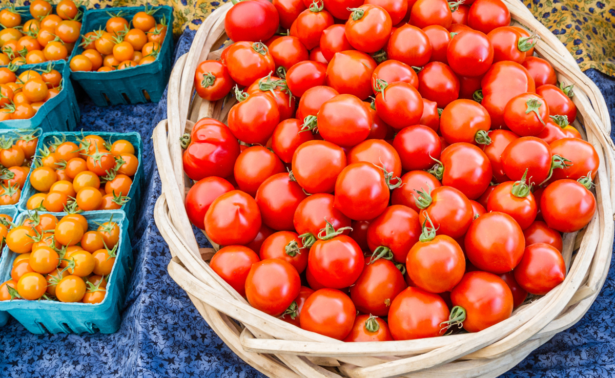 अगर घर में नहीं है Fridge तो इस तरीक से करें टमाटर को स्टोर, रहेगा लाल और फ्रेश