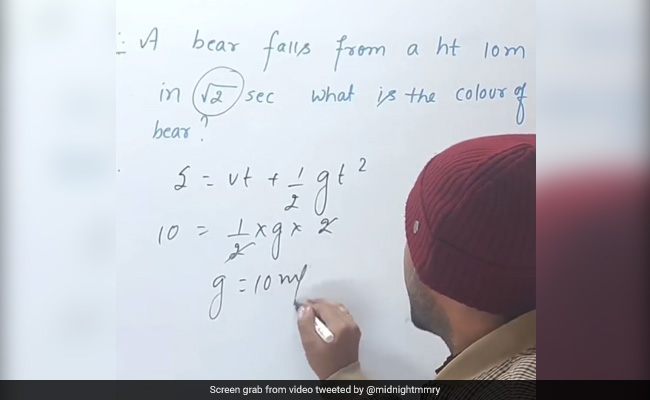 Watch: Physics Teacher Uses Equation To Find Colour Of Falling Bear, Internet Is In Disbelief