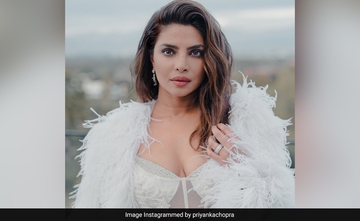 Priyanka Chopra, Asked About Shah Rukh Khan's Old Comment On Hollywood, Said: "Comfortable Is Boring To Me"