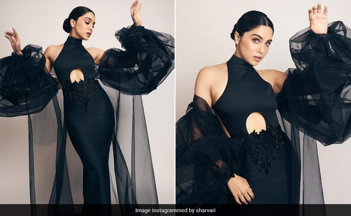Sharvari Wagh's Cutout Black Gown With Exaggerated Sleeved Is Giving Diva On The Red Carpet