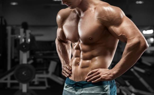 Primobolan Steroid Review Cycles Dosage Side Effects And Alternatives
