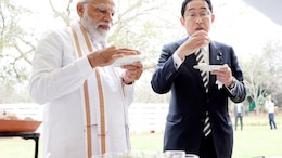 Watch: PM Modi Enjoys Golgappas And More With Japanese PM Kishida