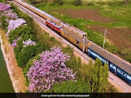 गुलाबी फूलों से सजा बेंगलुरु शहर, अद्भुत नज़ारा देख हैरान रह जाएंगे आप, Aerial View का Video वायरल गुलाबी फूलों से सजा बेंगलुरु शहर, अद्भुत नज़ारा देख हैरान रह जाएंगे आप, Aerial View का Video वायरल