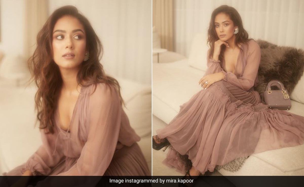 Mira Rajput Says "J'adore Dior" In Style Wearing A Dreamy Dusty Pink Dress With A Lady Dior Bag