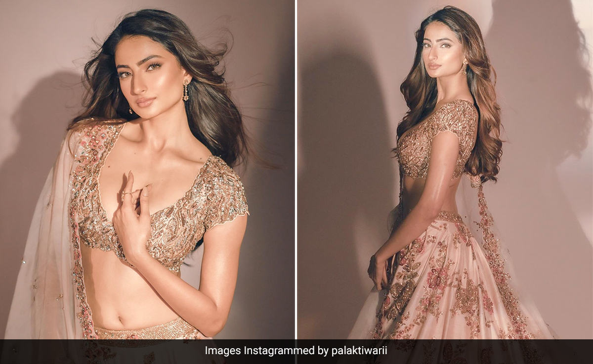 Palak Tiwari Fabulously Lights Up Our Day In Her Festive <i>Lehenga</i>