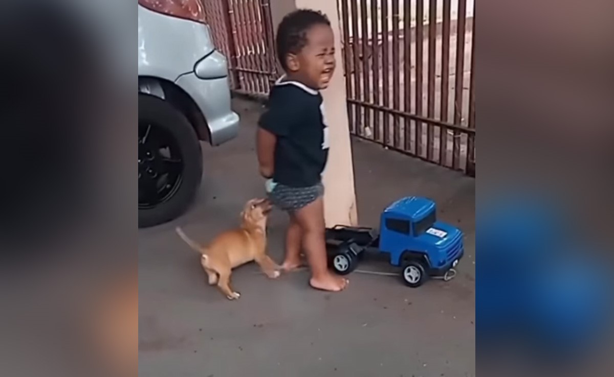 Viral Video: बच्चों को छेड़ रहा था क्यूट पपी, नन्हें शैतान ने कर दी उसकी ऐसी की तैसी